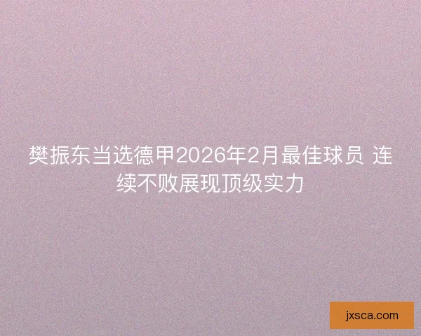 樊振东当选德甲2026年2月最佳球员 连续不败展现顶级实力